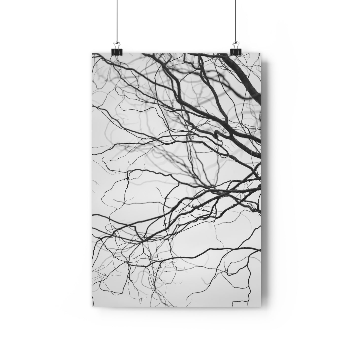 Giclée Art Print, Nature Wall Art, Tree Print, Minimalist Home Decor, Black and White Photography