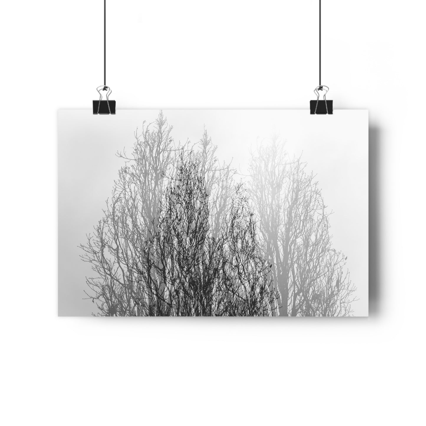Giclée Art Print, Black and White Winter Tree Photo, Mysterious Multiexposure Wall Art, Home Decor, Nature Photography, Holiday Gift Idea