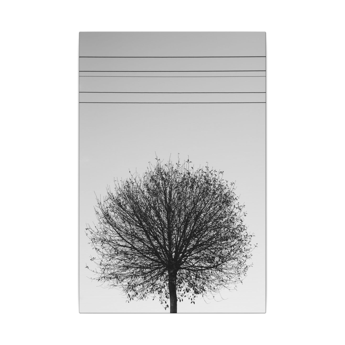 Seasons - Fall II. - Minimalist Wall Art Print, Stretched Canvas Art, Monochrome Home Decor, Black and White Tree Artwork, Modern Living Room Design