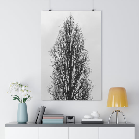 Giclée Art Print, Nature Wall Art, Tree Print, Minimalist Home Decor, Black and White Photography