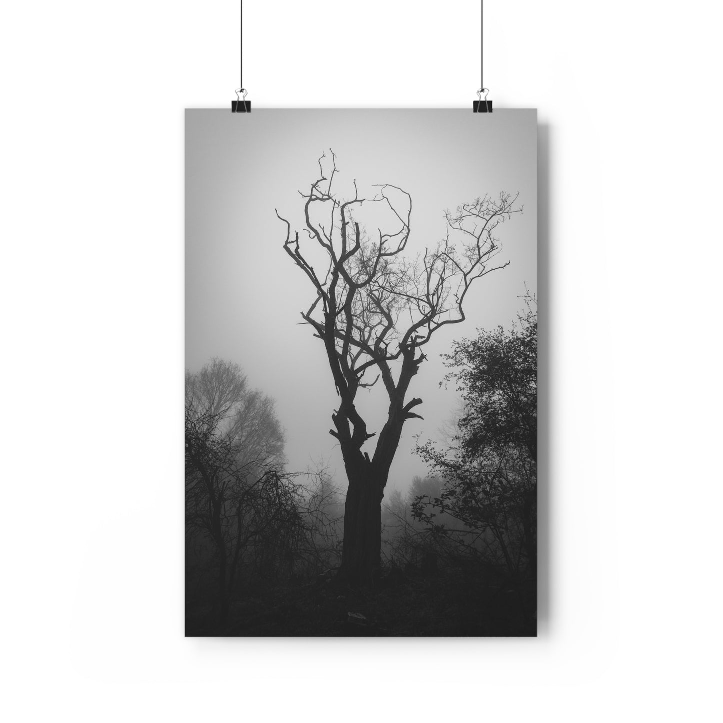 Giclée Art Print, Black and White Photo, Tree Silhouette Wall Decor, Foggy Weather Landscape, Nature Photography Poster, Home Office