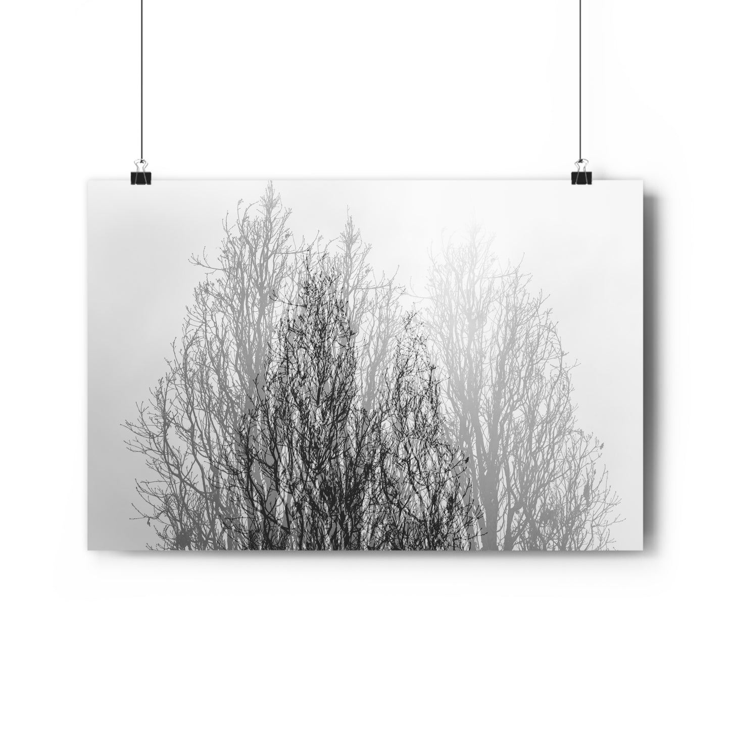 Giclée Art Print, Black and White Winter Tree Photo, Mysterious Multiexposure Wall Art, Home Decor, Nature Photography, Holiday Gift Idea