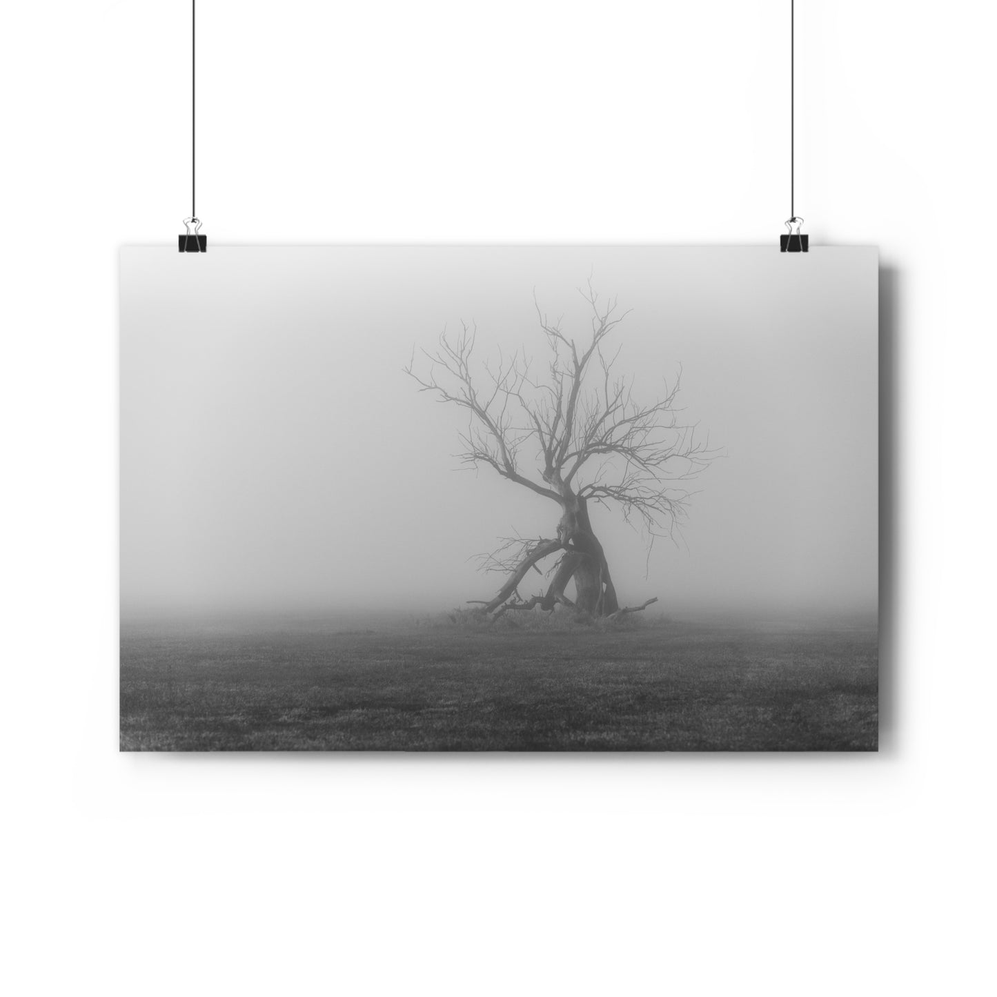 Giclée Art Print, Black and White Tree Photo, Wall Art Decor, Nature Lover Gift, Minimalist Home Decor, Ent Tree Art, Foggy Day Print