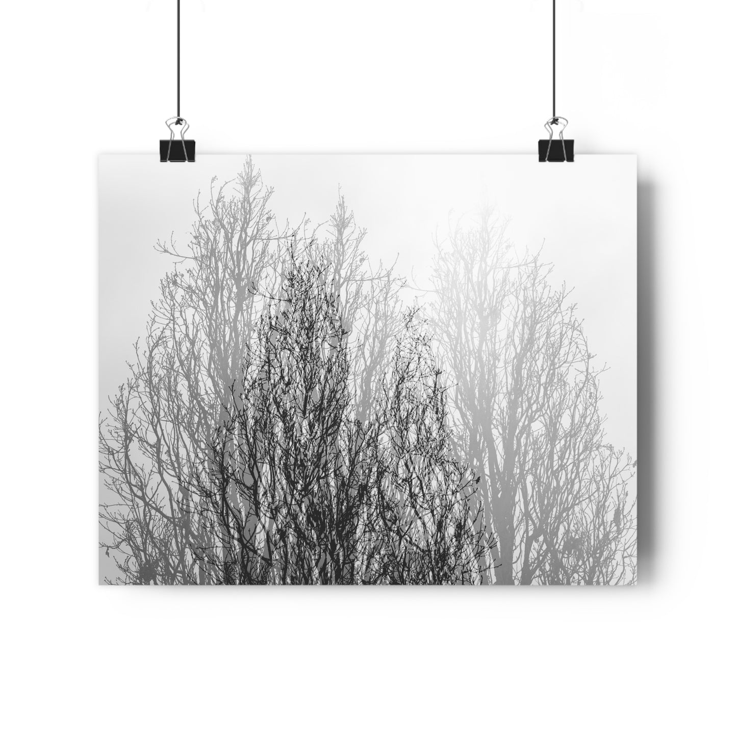 Giclée Art Print, Black and White Winter Tree Photo, Mysterious Multiexposure Wall Art, Home Decor, Nature Photography, Holiday Gift Idea