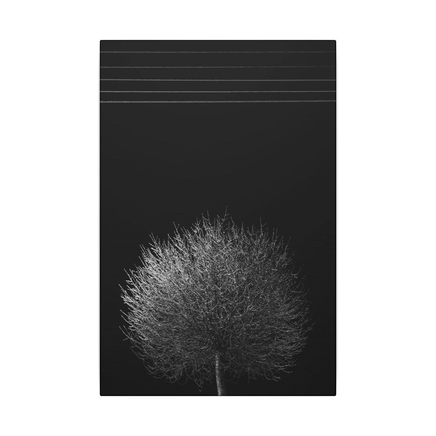 Seasons - winter - Minimalist Wall Art Print, Stretched Canvas Art, Monochrome Home Decor, Black and White Tree Artwork, Modern Living Room Design