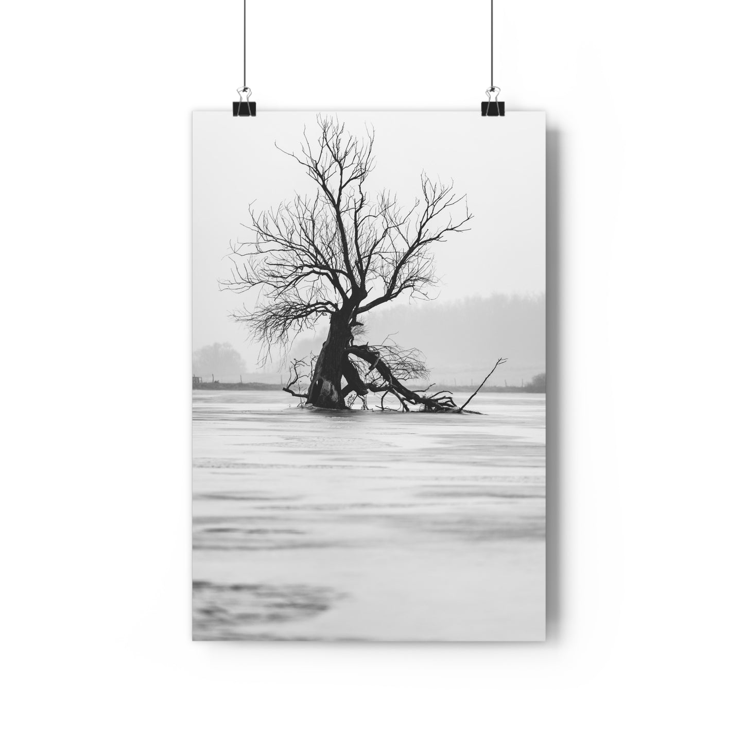 Giclée Print, Black and White Old Tree 'The Last Ent' in Frozen Field Winter Day Photo, Wall Art Decor, Nature Print, Tree Lover Gift, Home