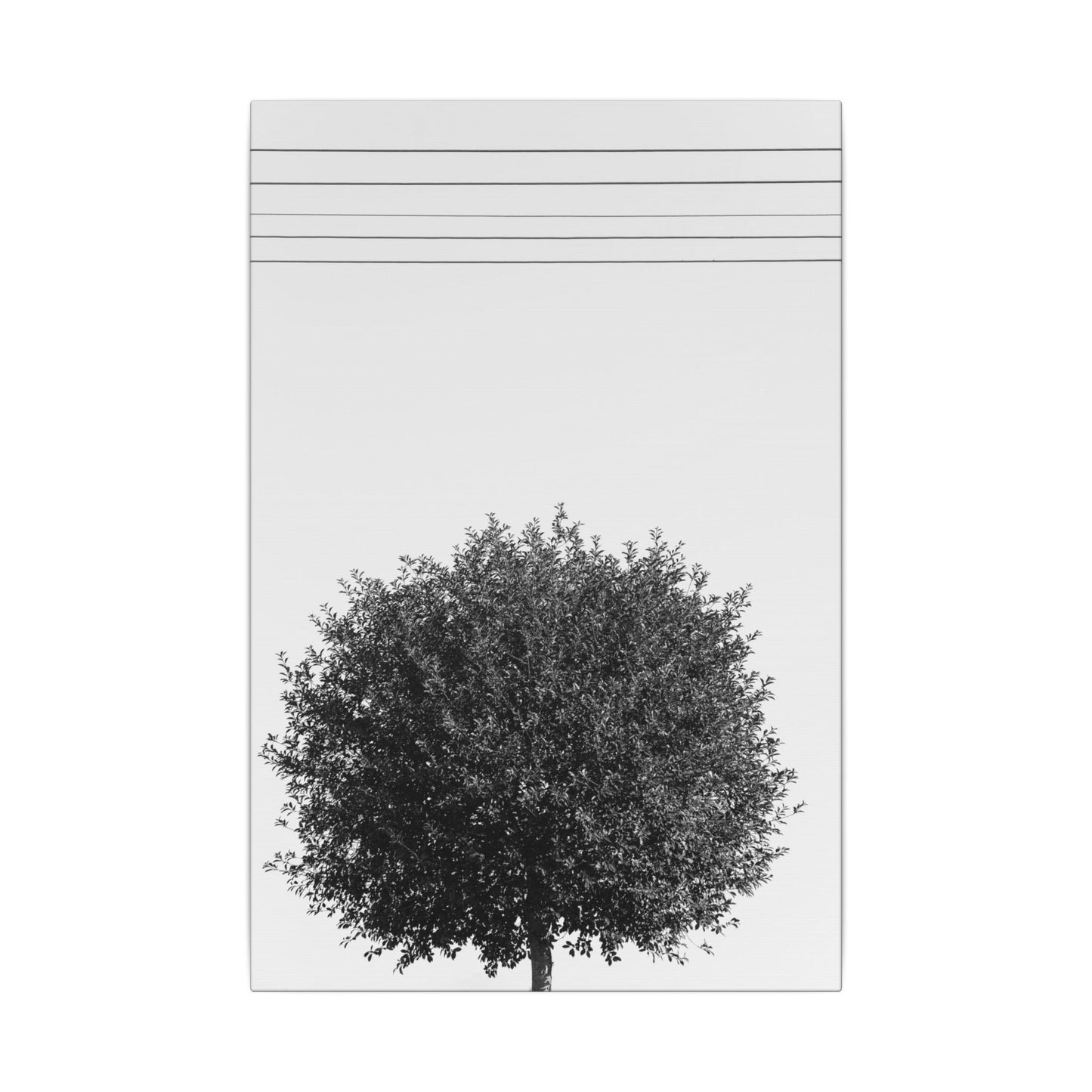 Seasons - summer - Minimalist Wall Art Print, Stretched Canvas Art, Monochrome Home Decor, Black and White Tree Artwork, Modern Living Room Design