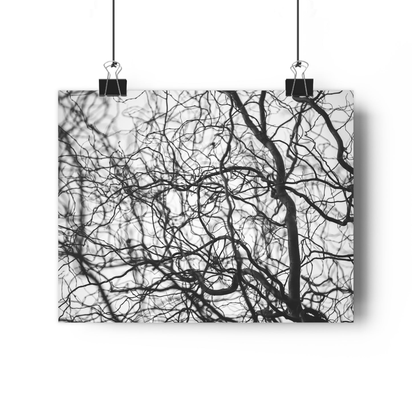 Giclée Art Print, Tree Branches at Winter Time, 'Tangled Whispers', Nature Wall Art, Home Decor, Gift for Nature Lover, Wall Decor, Winter
