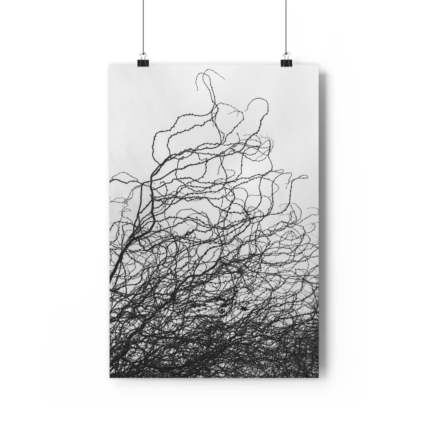 Giclée Art Print, Abstract Black and White Tree Branches, Wall Art Decor, Minimalist Home Decor, Fine Art Photography Print, Modern Art