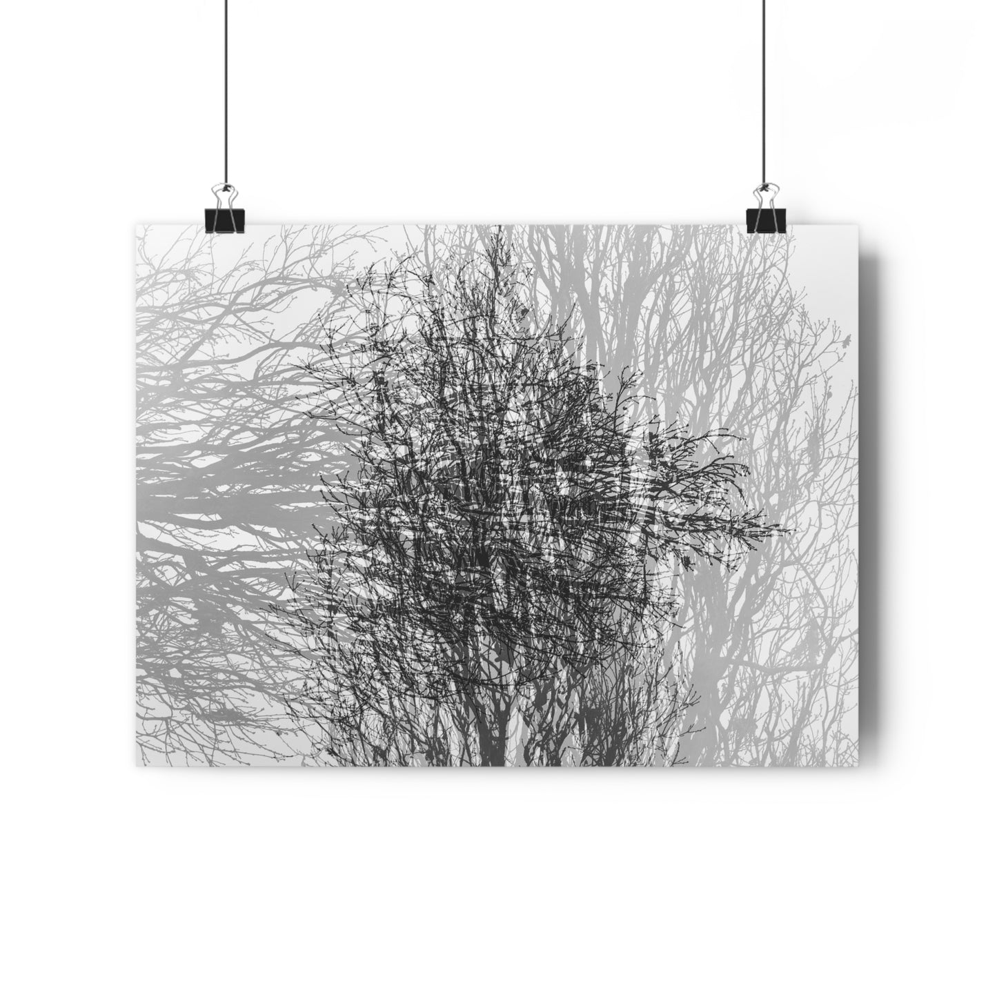 Giclée Art Print, Black and White Winter Tree Photo, Mysterious Multiexposure Wall Art, Home Decor, Nature Photography, Holiday Gift Idea