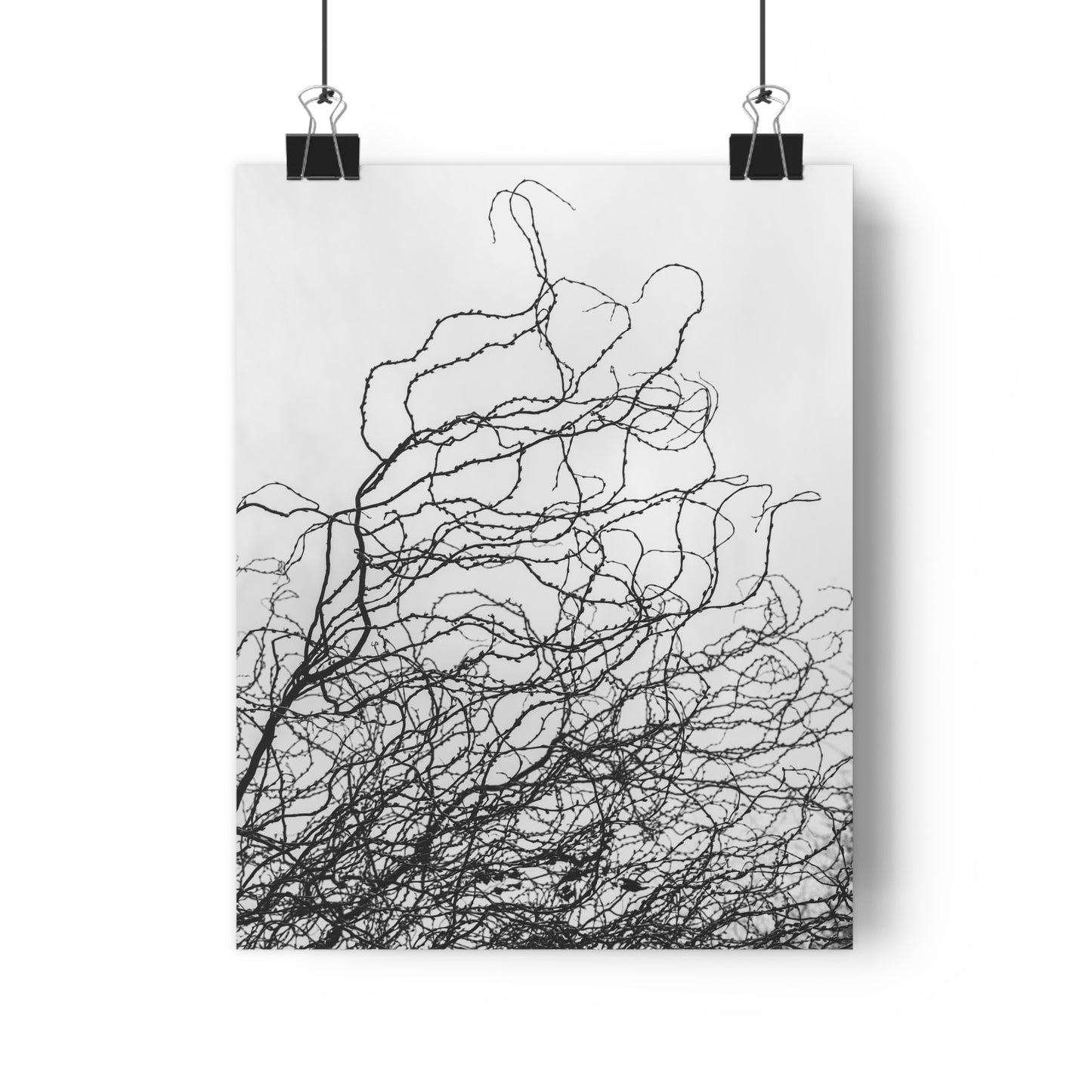 Giclée Art Print, Abstract Black and White Tree Branches, Wall Art Decor, Minimalist Home Decor, Fine Art Photography Print, Modern Art