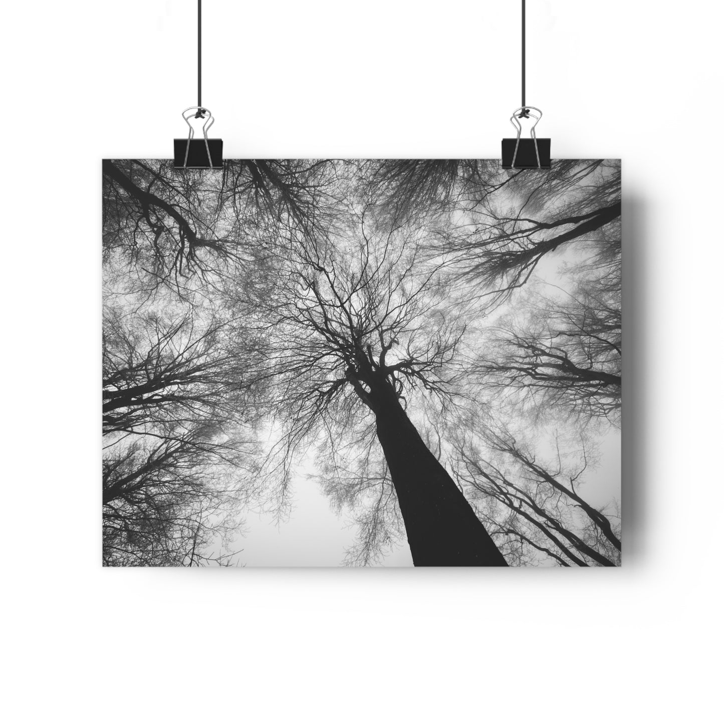 Wall Art Print of Winter Bald Tree Crowns, Black and White Photography, Home Decor, Nature Lover Gift, Christmas Wall