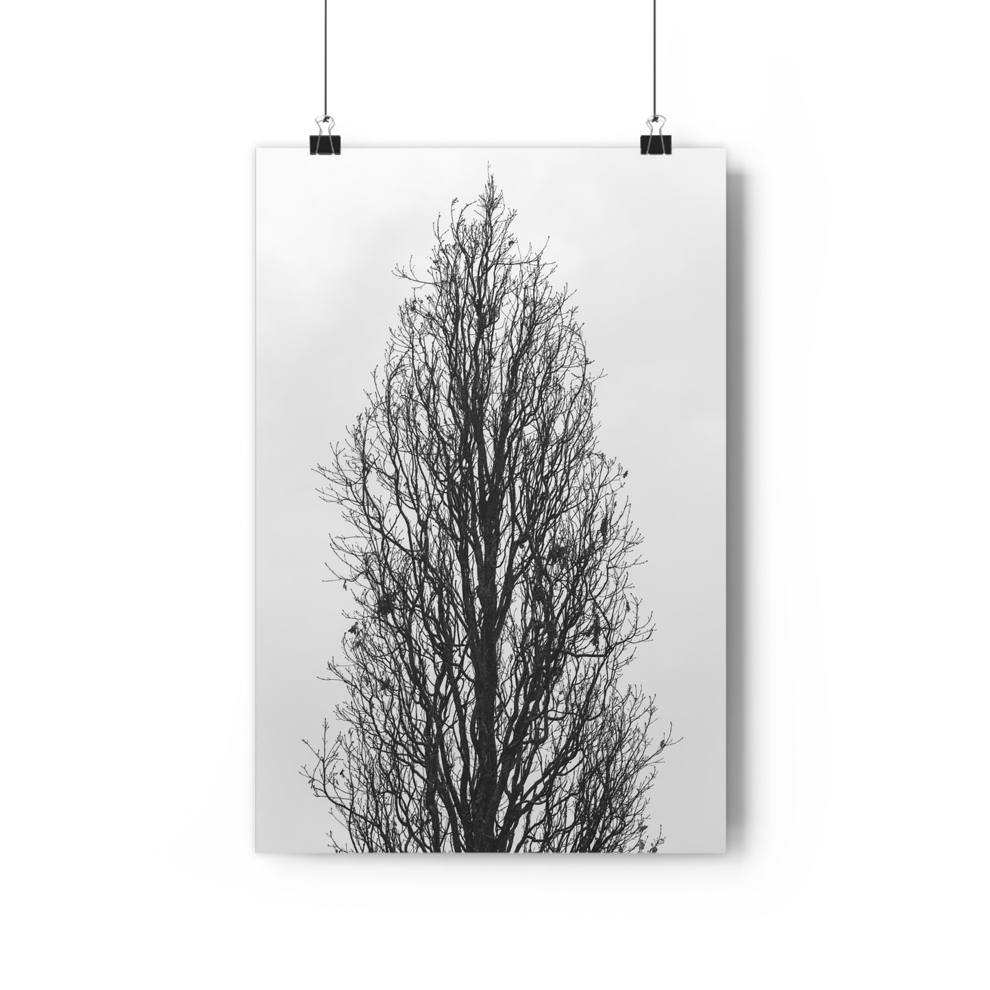 Giclée Art Print, Nature Wall Art, Tree Print, Minimalist Home Decor, Black and White Photography