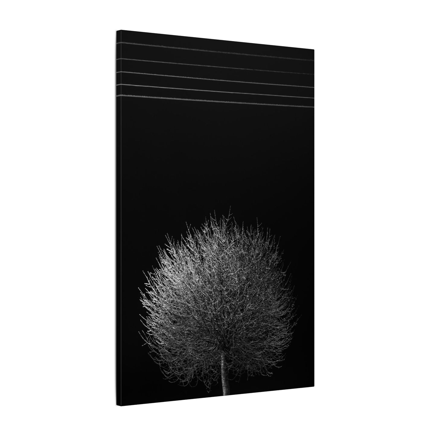 Seasons - winter - Minimalist Wall Art Print, Stretched Canvas Art, Monochrome Home Decor, Black and White Tree Artwork, Modern Living Room Design