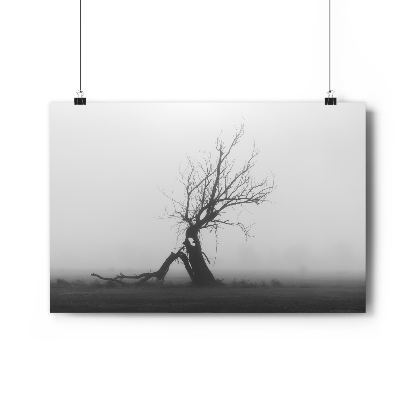 Giclée Art Print, Black and White Tree Photo, Wall Art Decor, Nature Lover Gift, Minimalist Home Decor, Ent Tree Art, Foggy Day Print