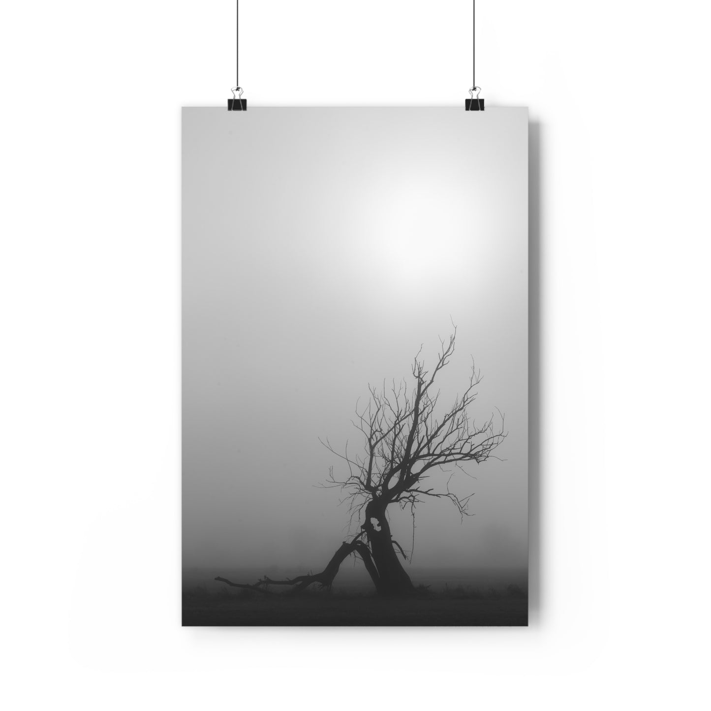 Giclée Art Print, Black and White Tree Photo, Wall Art Decor, Nature Lover Gift, Minimalist Home Decor, Ent Tree Art, Foggy Day Print