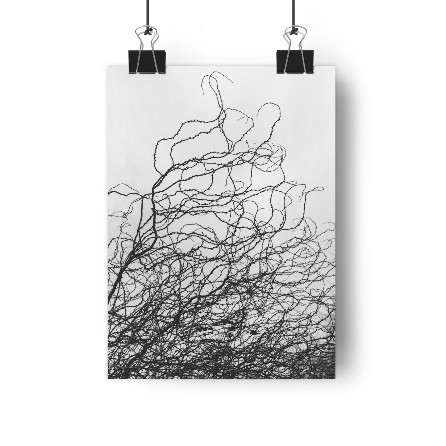 Giclée Art Print, Abstract Black and White Tree Branches, Wall Art Decor, Minimalist Home Decor, Fine Art Photography Print, Modern Art