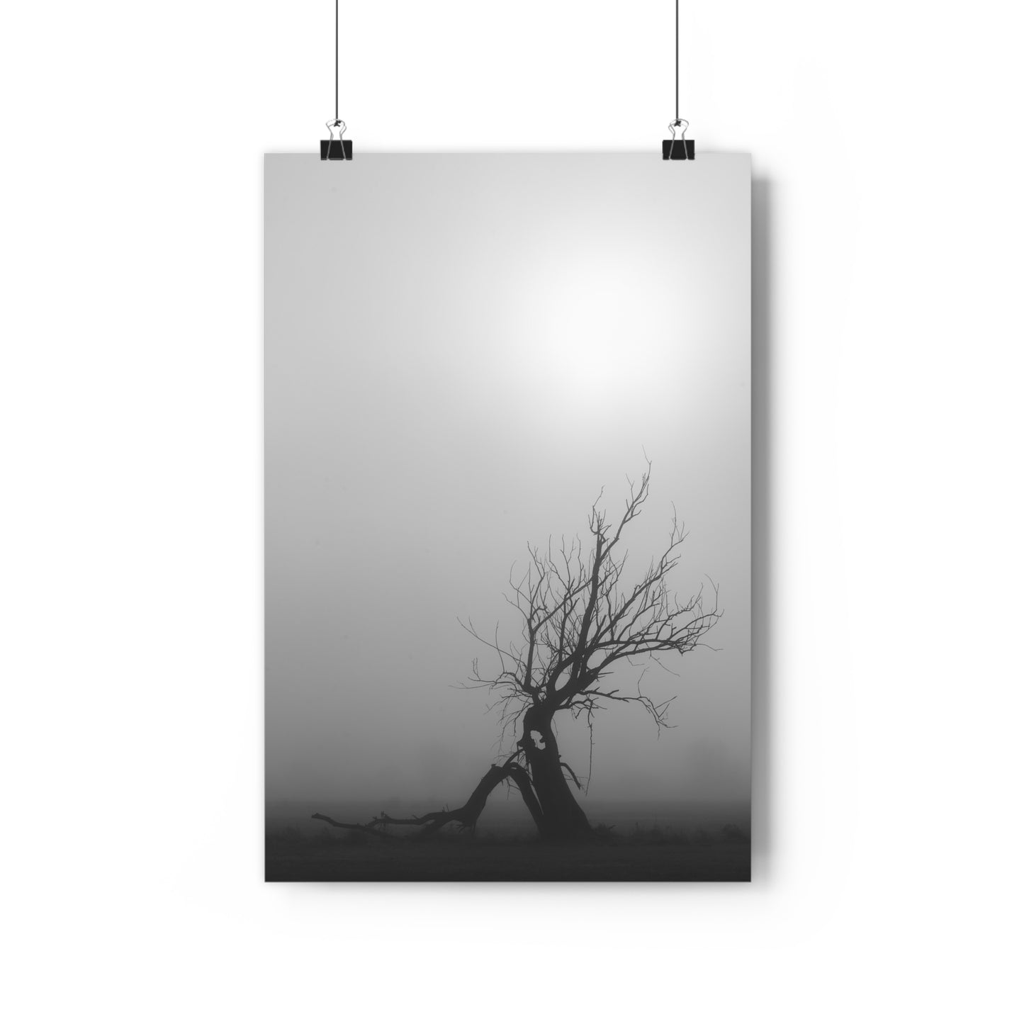 Giclée Art Print, Black and White Tree Photo, Wall Art Decor, Nature Lover Gift, Minimalist Home Decor, Ent Tree Art, Foggy Day Print