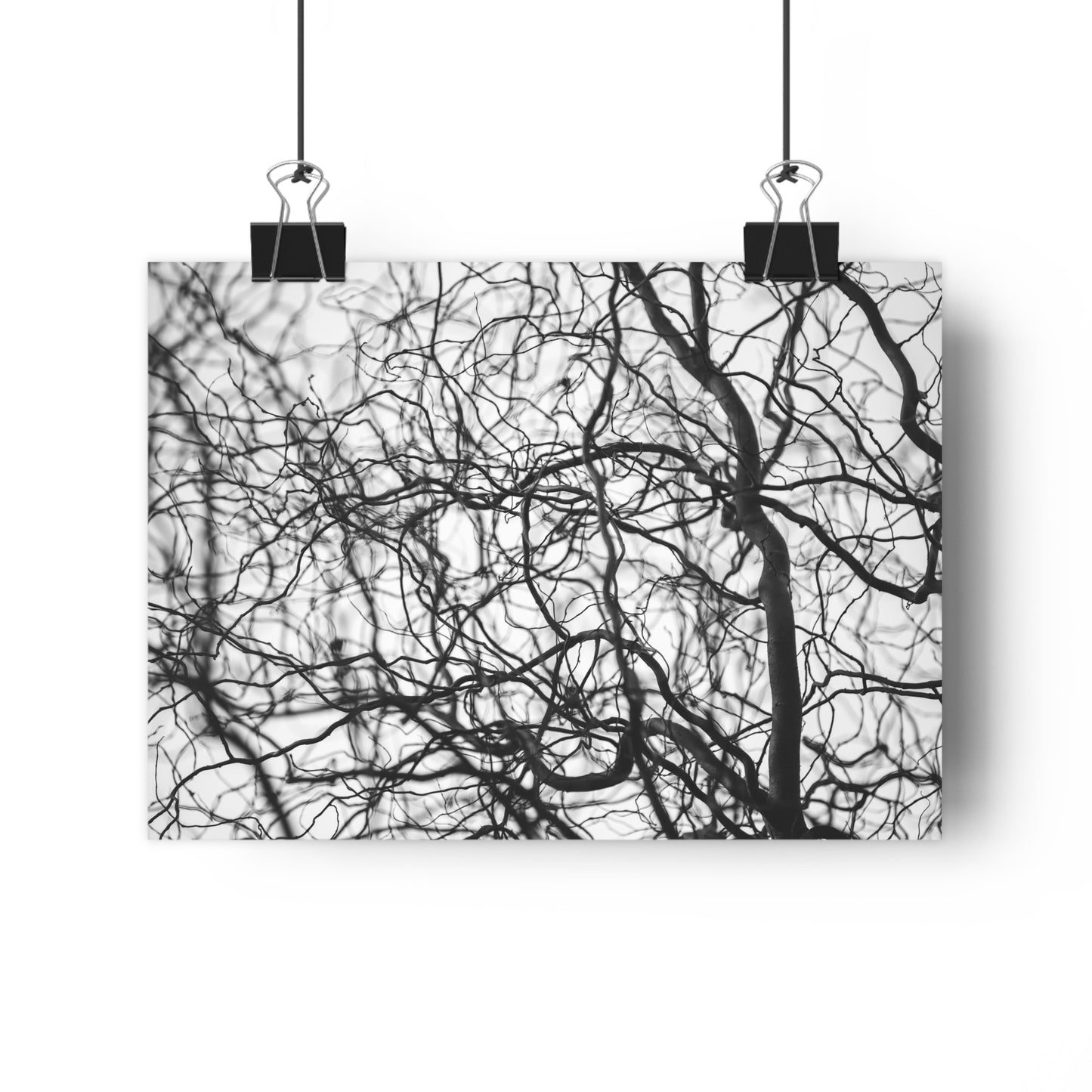 Giclée Art Print, Tree Branches at Winter Time, 'Tangled Whispers', Nature Wall Art, Home Decor, Gift for Nature Lover, Wall Decor, Winter