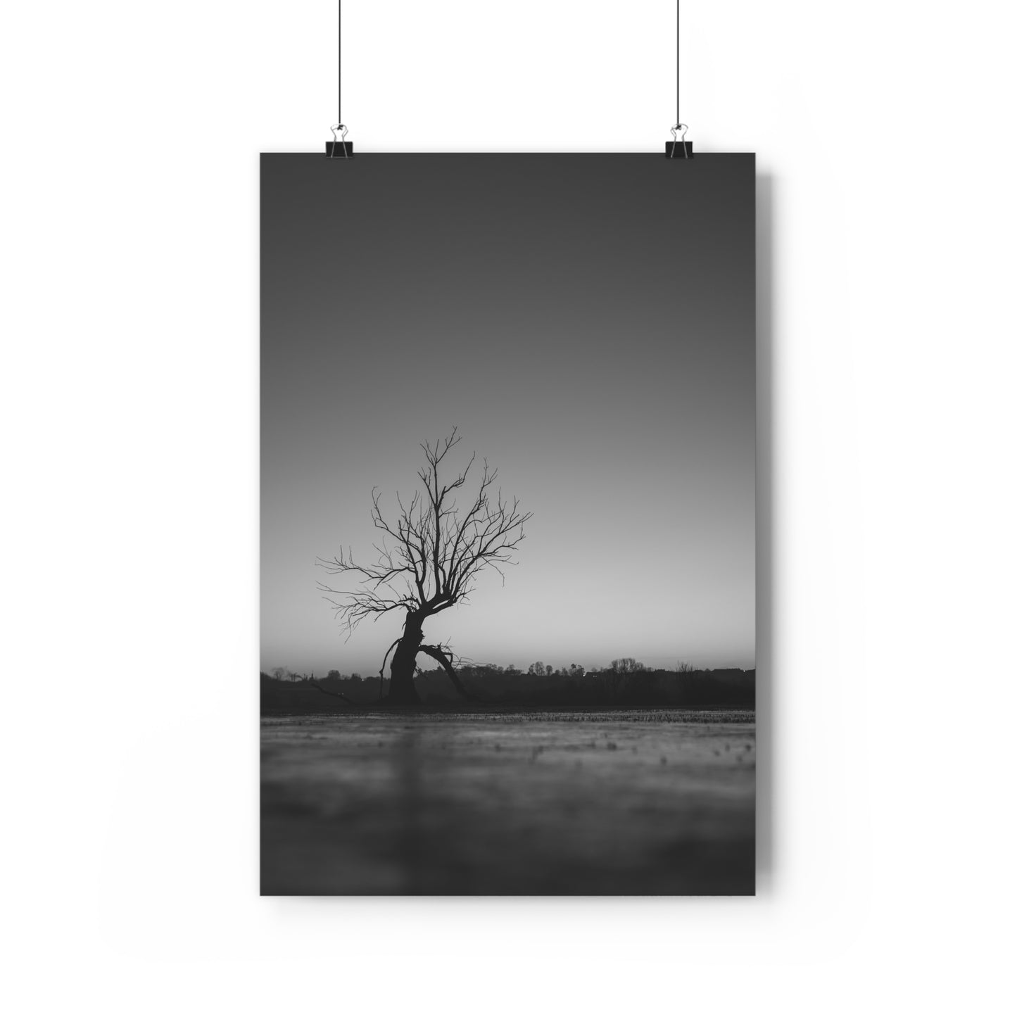 Giclée Art Print, Old Tree 'The Last Ent' Winter Sunset Black White Photo, Wall Art Decor, Nature Lover Gift, Landscape Photography, Fine