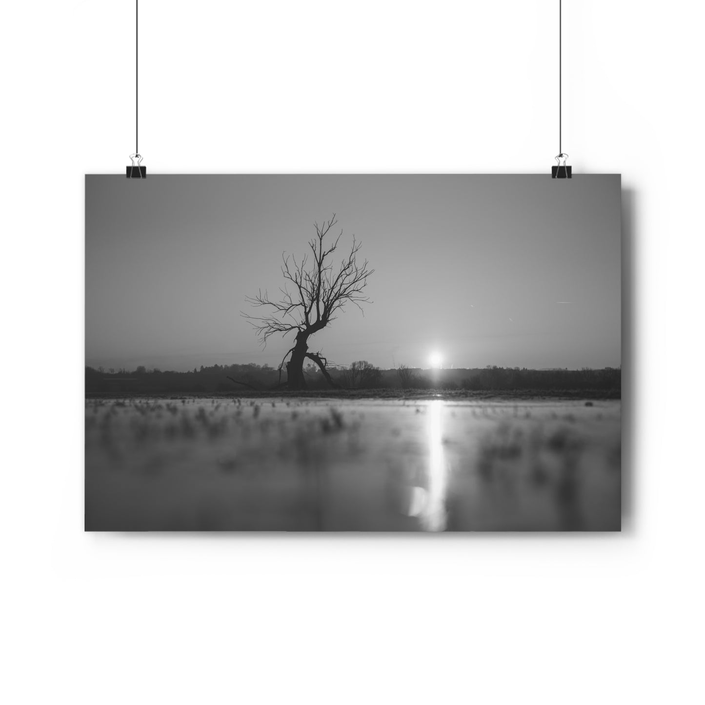 Giclée Art Print, Old Tree 'The Last Ent' Winter Sunset Black White Photo, Wall Art Decor, Nature Lover Gift, Landscape Photography, Fine