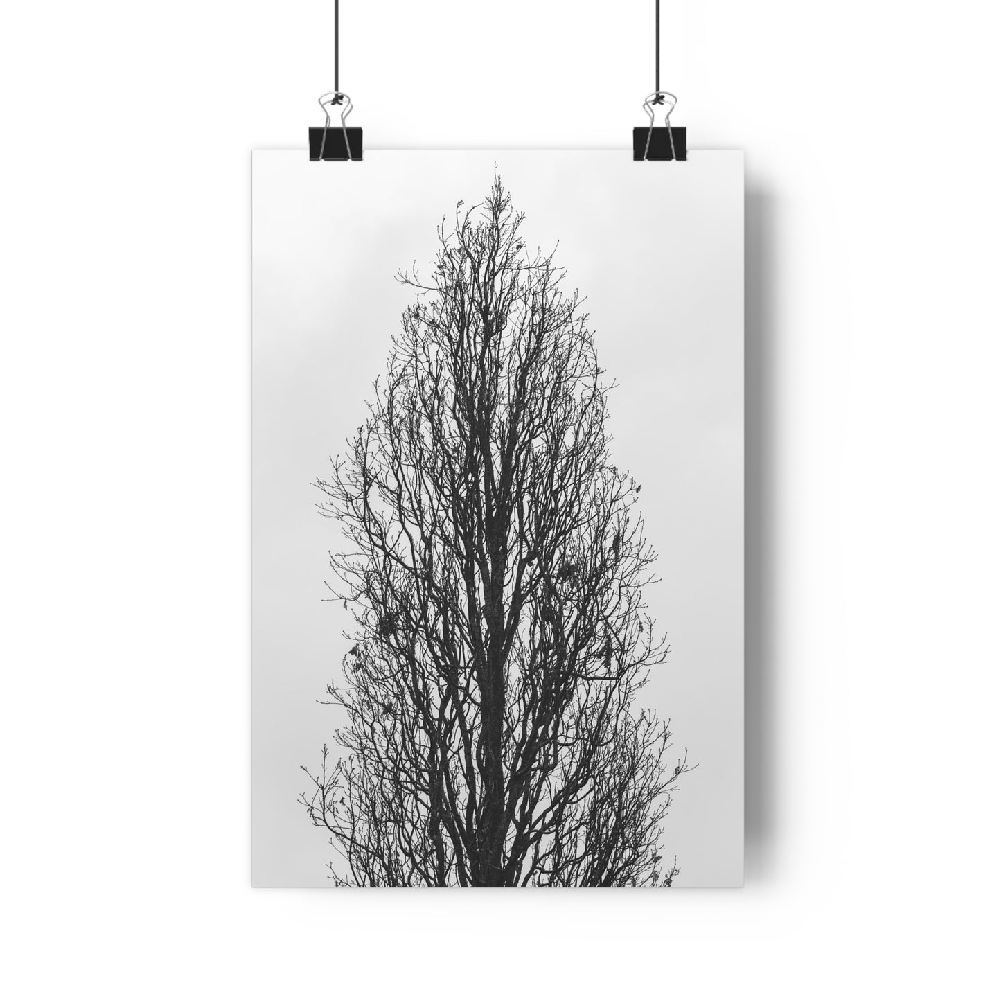 Giclée Art Print, Nature Wall Art, Tree Print, Minimalist Home Decor, Black and White Photography