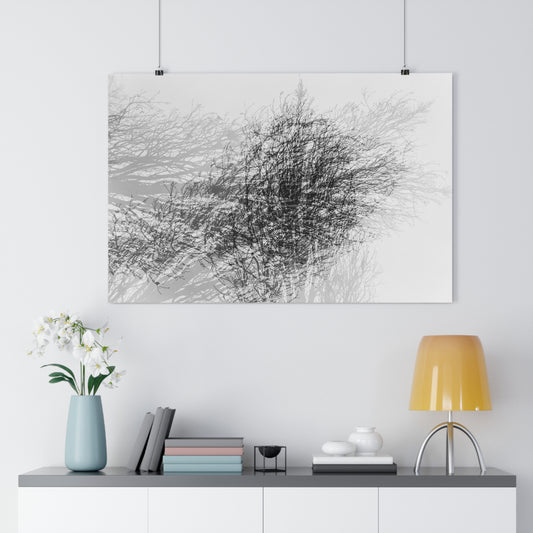 Giclée Art Print, Black and White Winter Tree Photo, Mysterious Multiexposure Wall Art, Home Decor, Nature Photography, Holiday Gift Idea