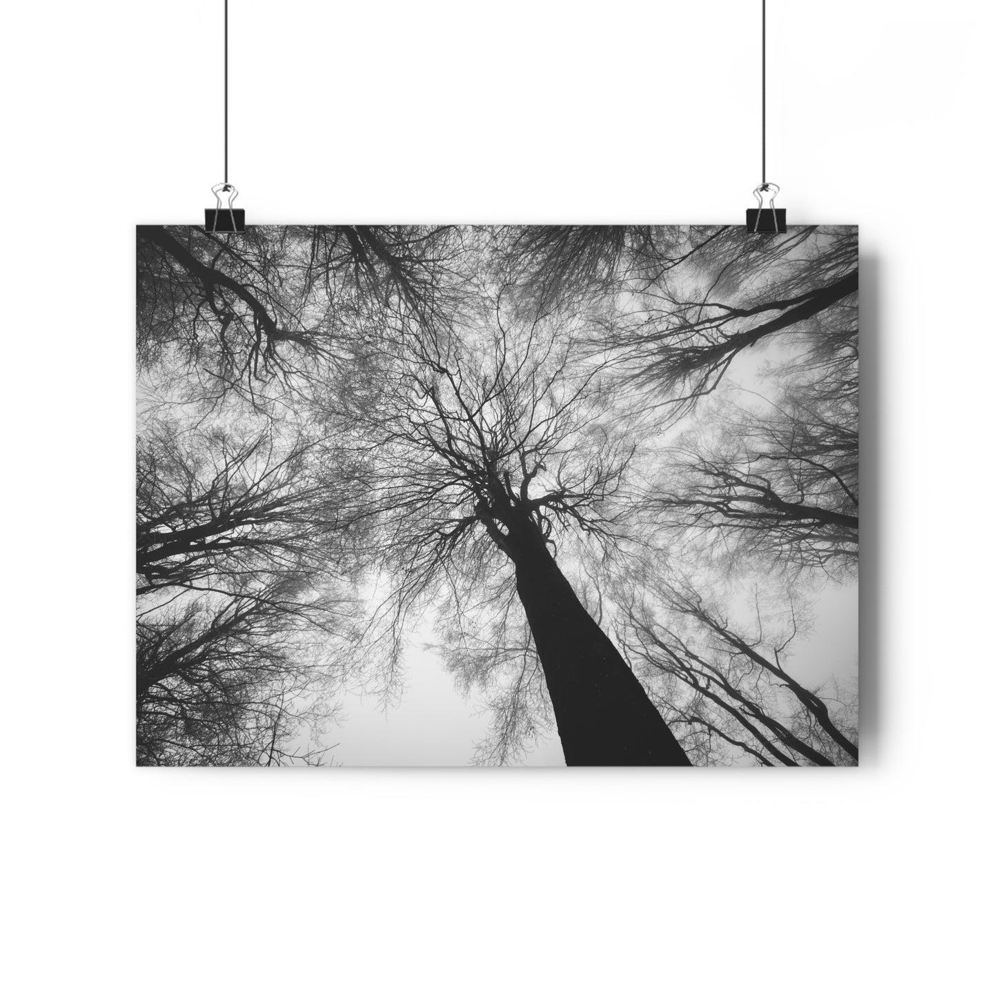 Wall Art Print of Winter Bald Tree Crowns, Black and White Photography, Home Decor, Nature Lover Gift, Christmas Wall