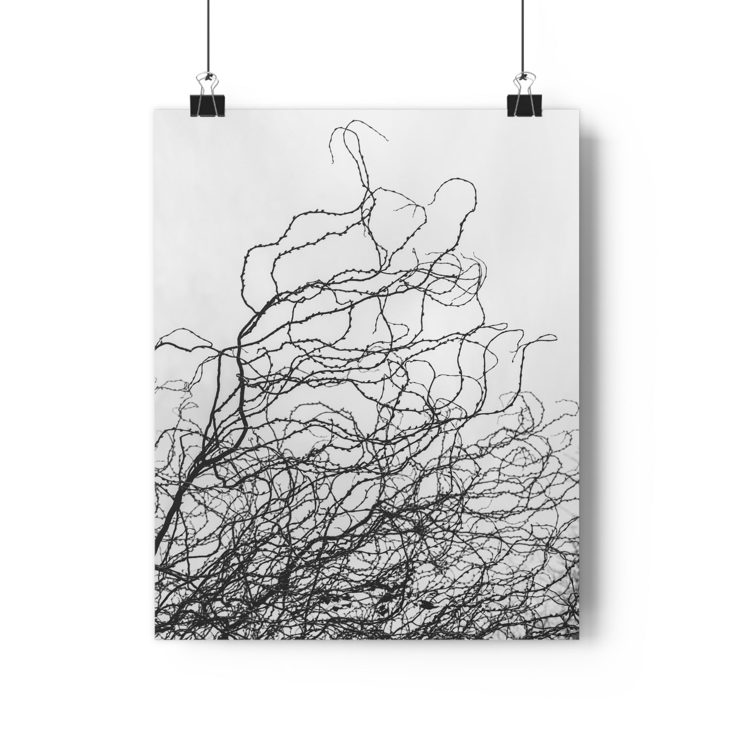 Giclée Art Print, Abstract Black and White Tree Branches, Wall Art Decor, Minimalist Home Decor, Fine Art Photography Print, Modern Art