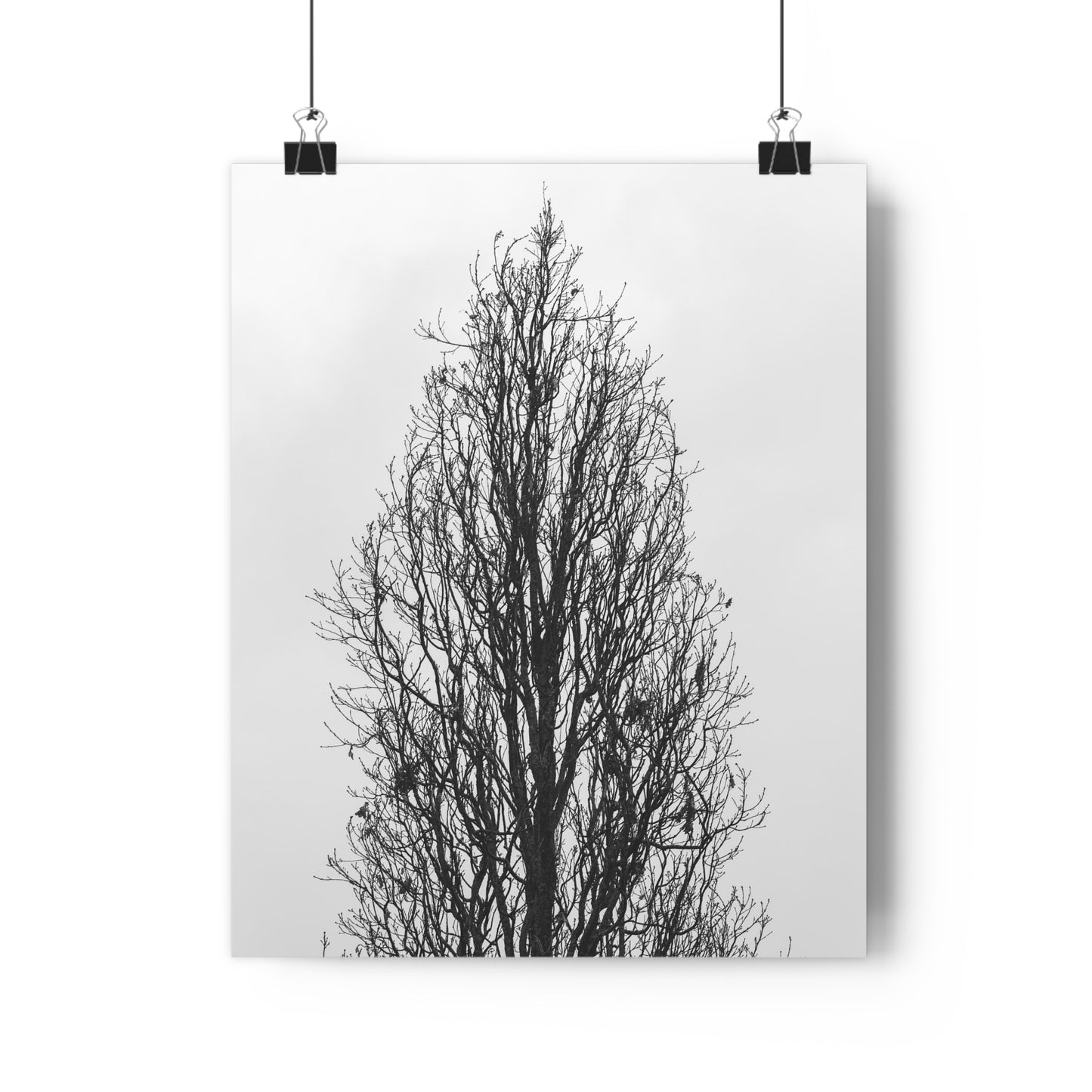 Giclée Art Print, Nature Wall Art, Tree Print, Minimalist Home Decor, Black and White Photography