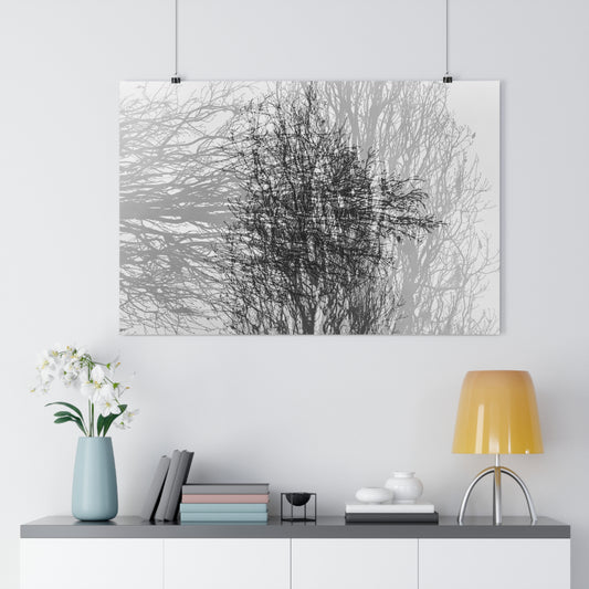 Giclée Art Print, Black and White Winter Tree Photo, Mysterious Multiexposure Wall Art, Home Decor, Nature Photography, Holiday Gift Idea