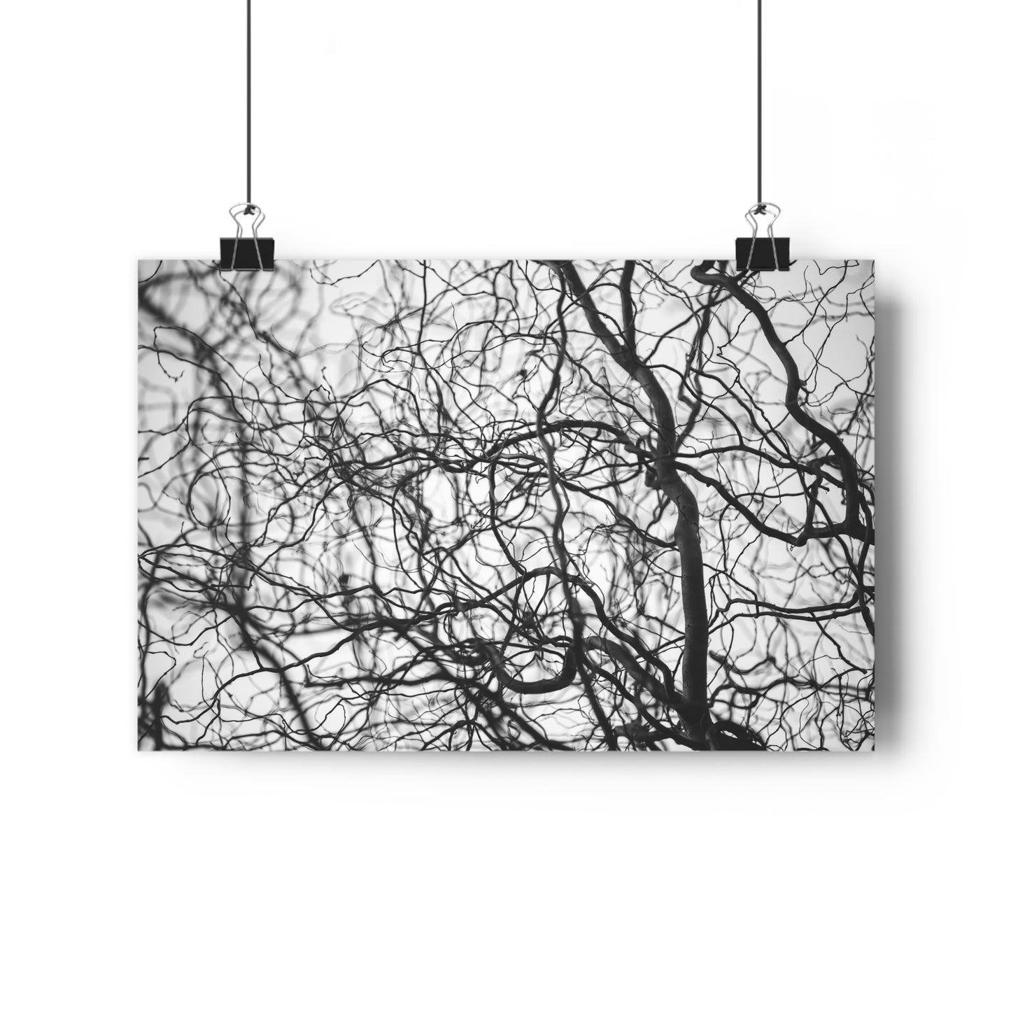 Giclée Art Print, Tree Branches at Winter Time, 'Tangled Whispers', Nature Wall Art, Home Decor, Gift for Nature Lover, Wall Decor, Winter