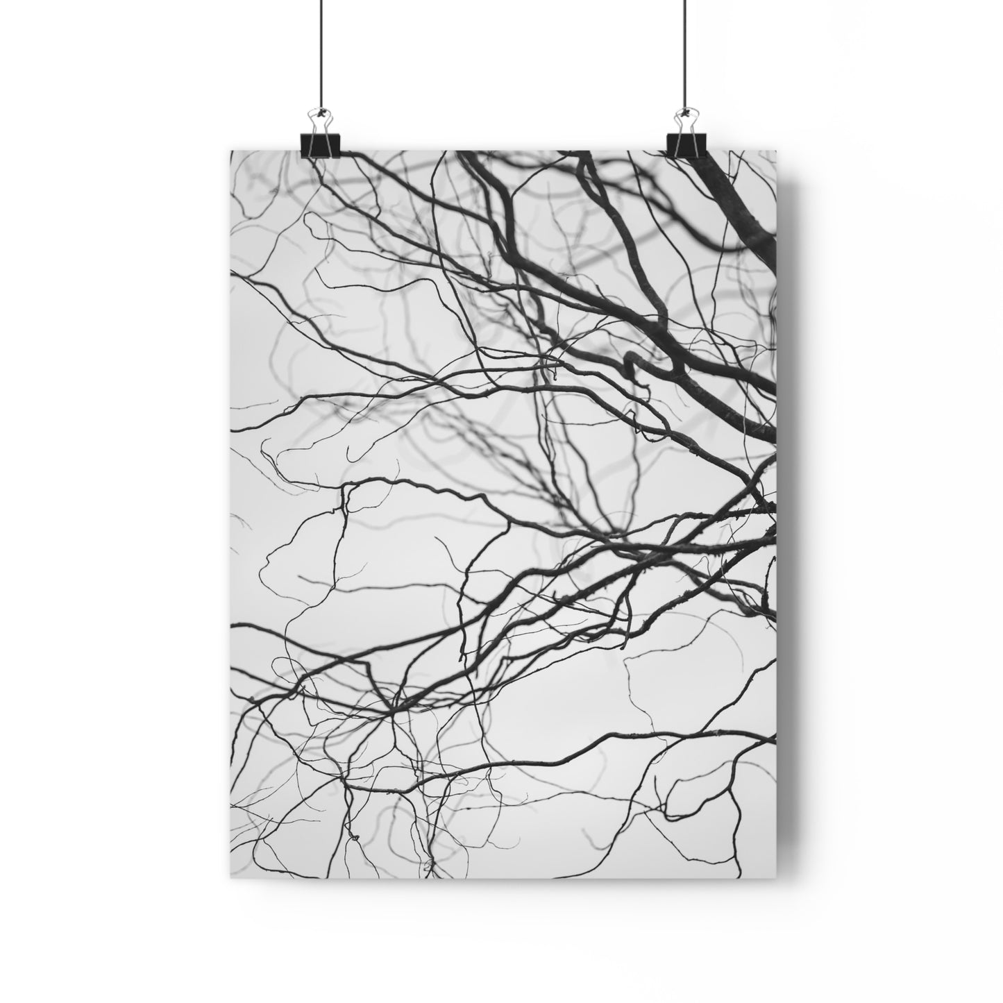 Giclée Art Print, Nature Wall Art, Tree Print, Minimalist Home Decor, Black and White Photography