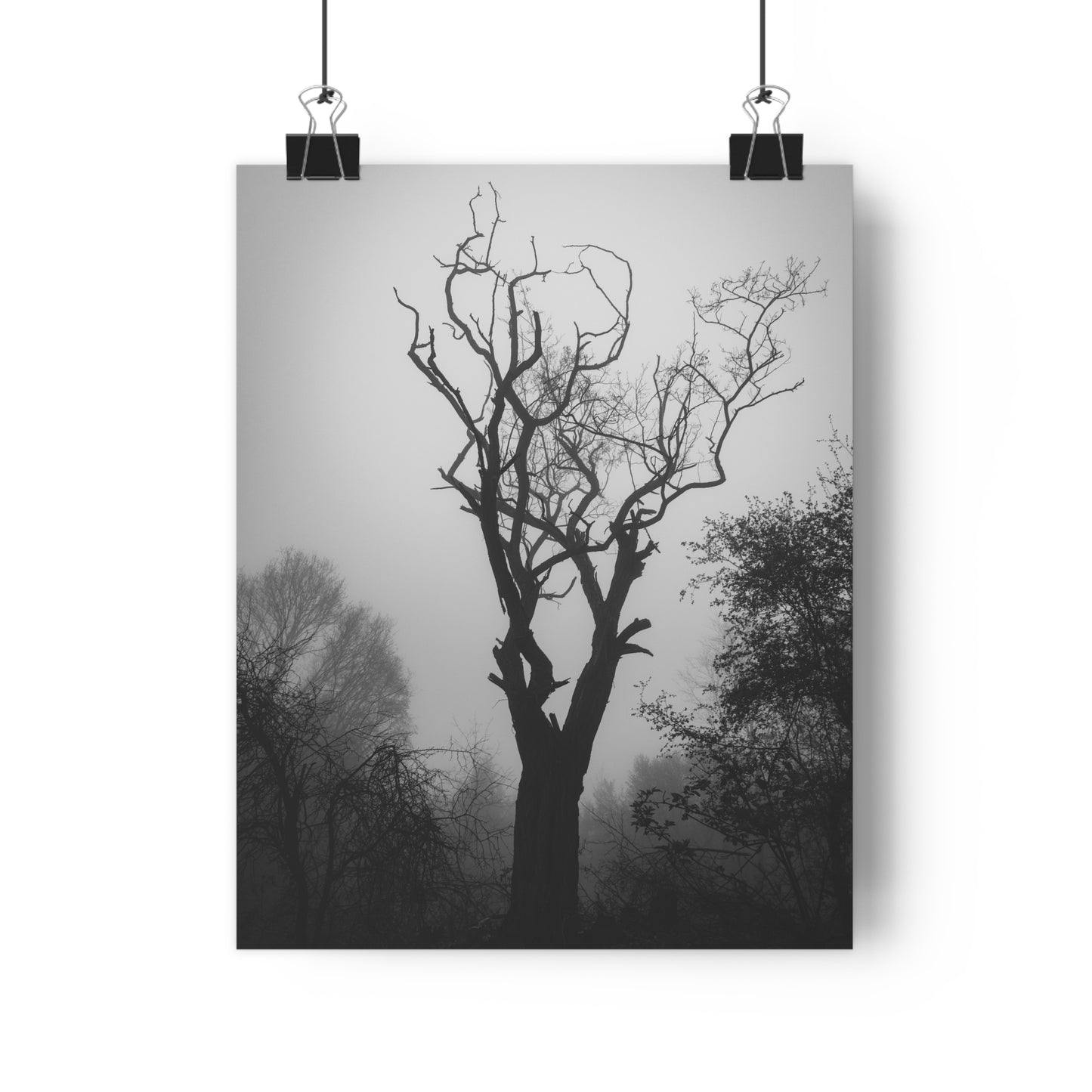 Giclée Art Print, Black and White Photo, Tree Silhouette Wall Decor, Foggy Weather Landscape, Nature Photography Poster, Home Office