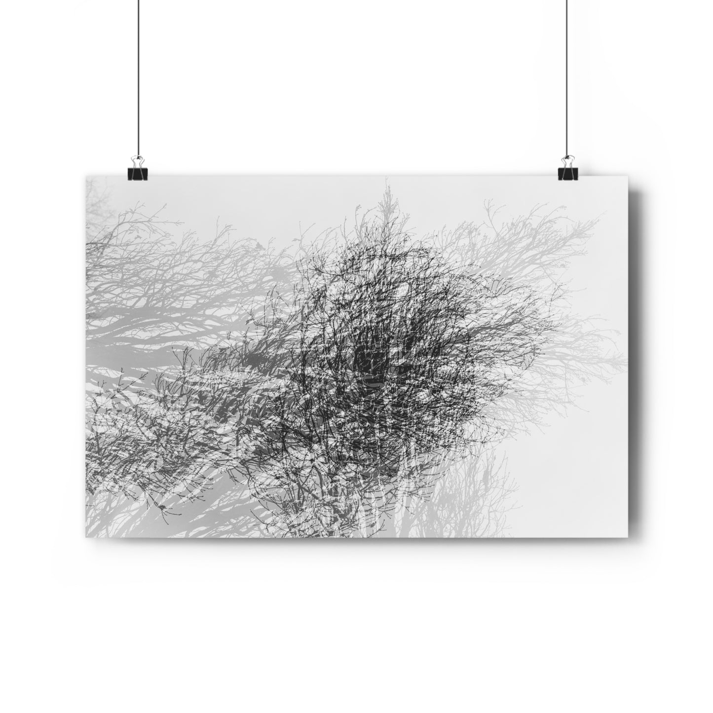 Giclée Art Print, Black and White Winter Tree Photo, Mysterious Multiexposure Wall Art, Home Decor, Nature Photography, Holiday Gift Idea