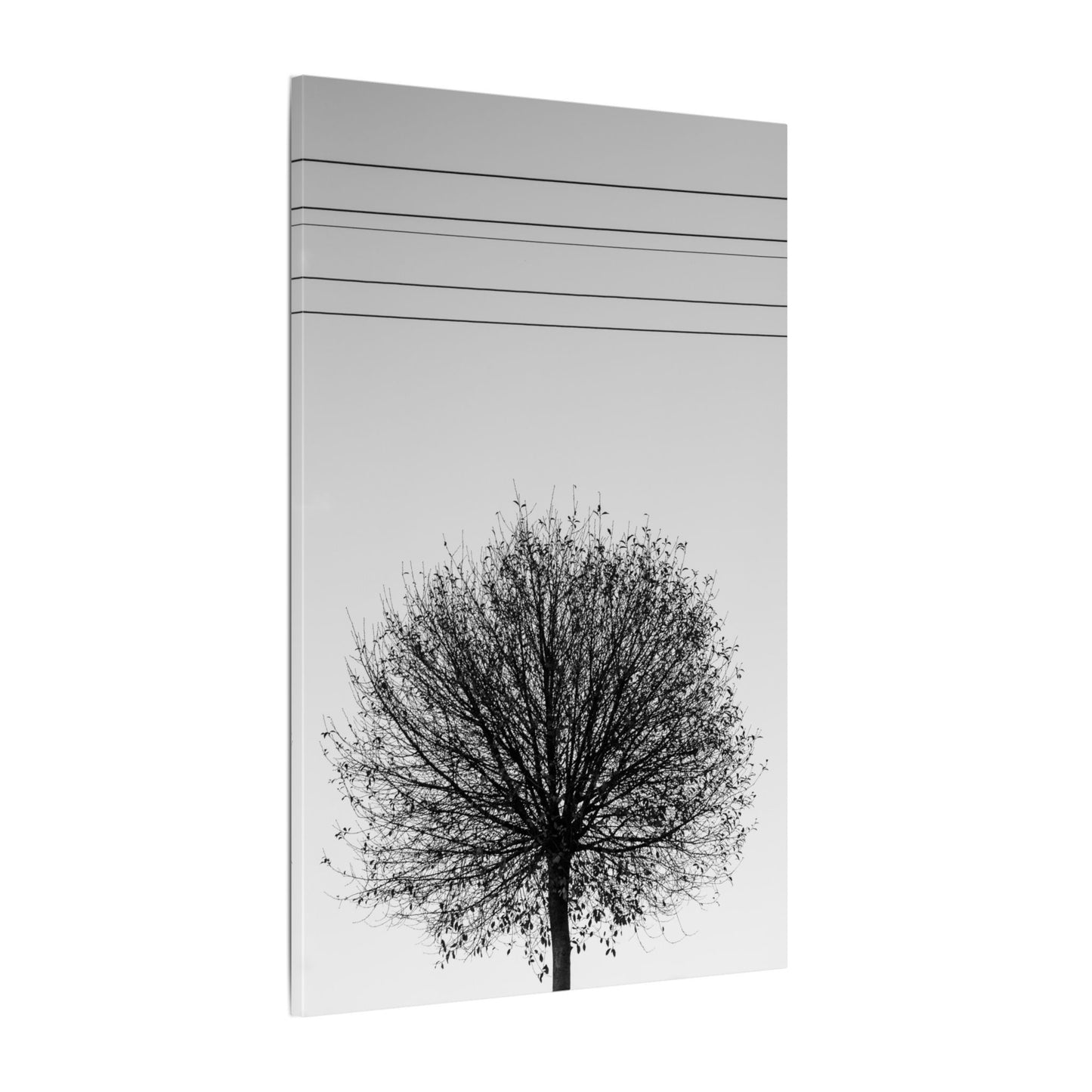 Seasons - Fall II. - Minimalist Wall Art Print, Stretched Canvas Art, Monochrome Home Decor, Black and White Tree Artwork, Modern Living Room Design