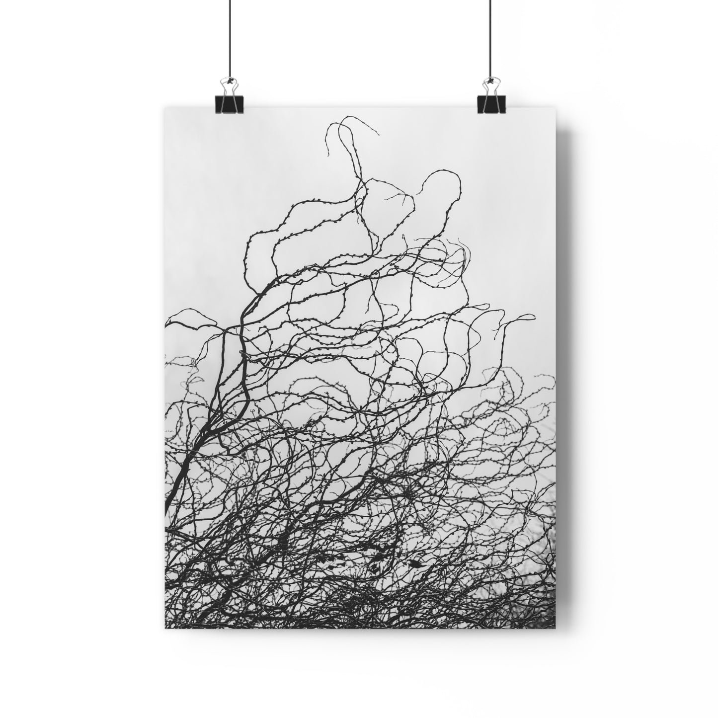 Giclée Art Print, Abstract Black and White Tree Branches, Wall Art Decor, Minimalist Home Decor, Fine Art Photography Print, Modern Art