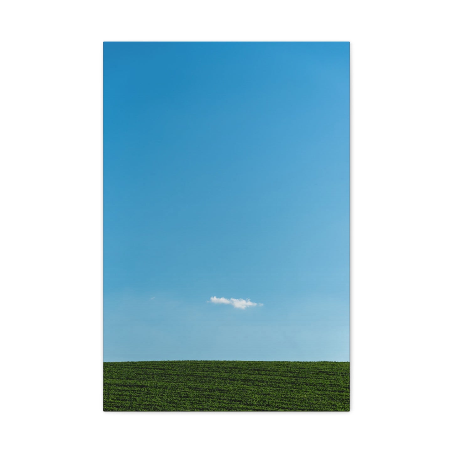 Canvas Wall Art "Cloudy" - Tiny White Cloud on Blue Sky Design