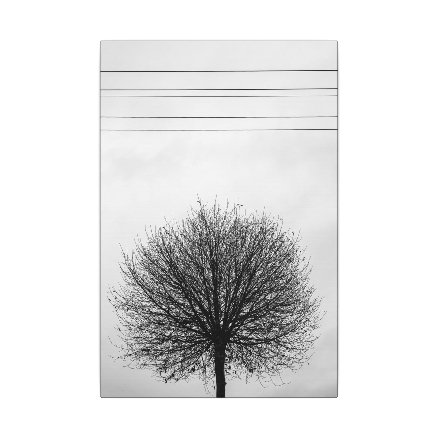 Seasons - Fall III. - Minimalist Wall Art Print, Stretched Canvas Art, Monochrome Home Decor, Black and White Tree Artwork, Modern Living Room Design
