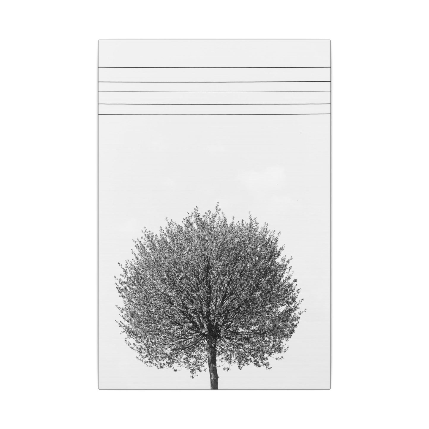Seasons - spring - Minimalist Wall Art Print, Stretched Canvas Art, Monochrome Home Decor, Black and White Tree Artwork, Modern Living Room Design