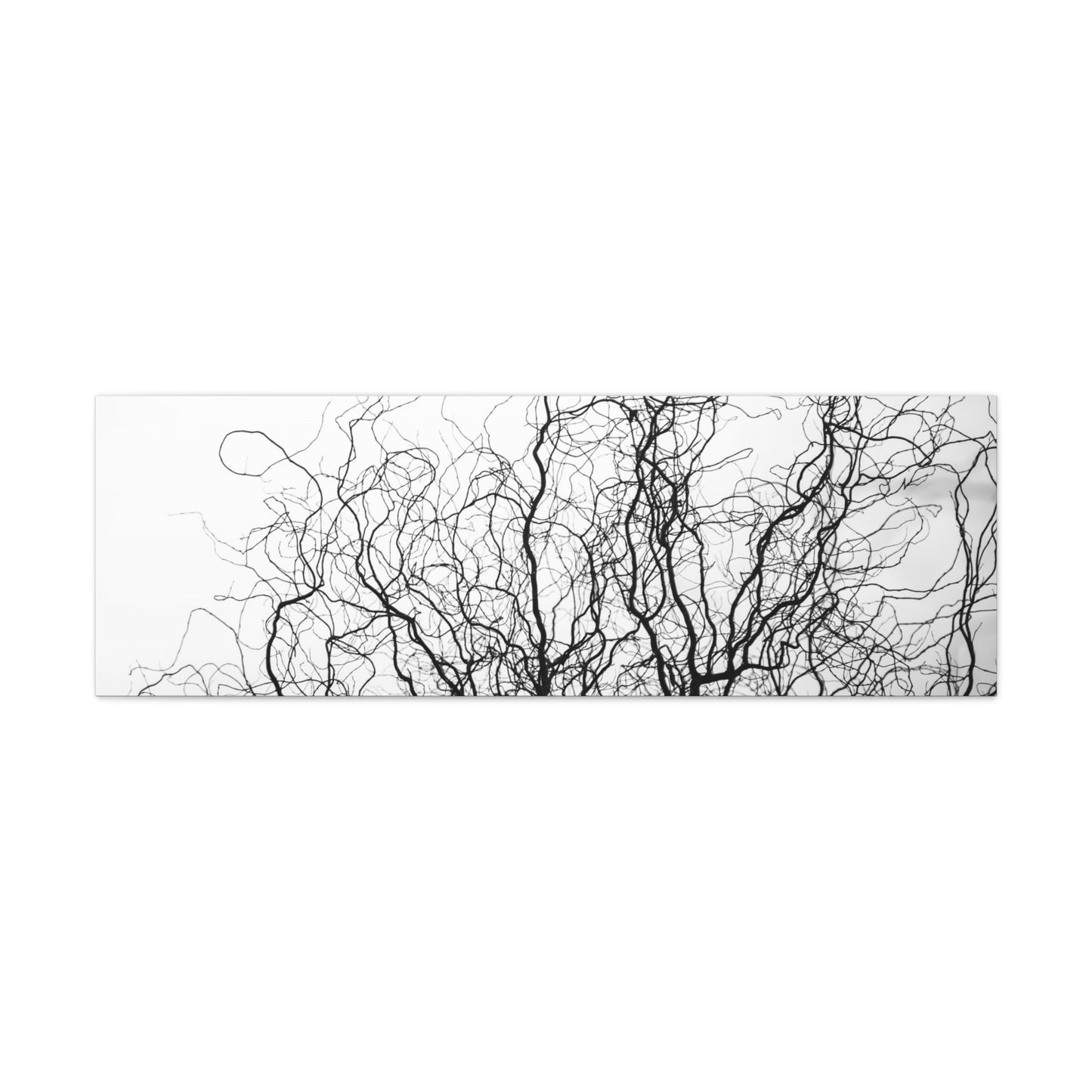 Canvas Print - Gnarled Bald Tree Branches