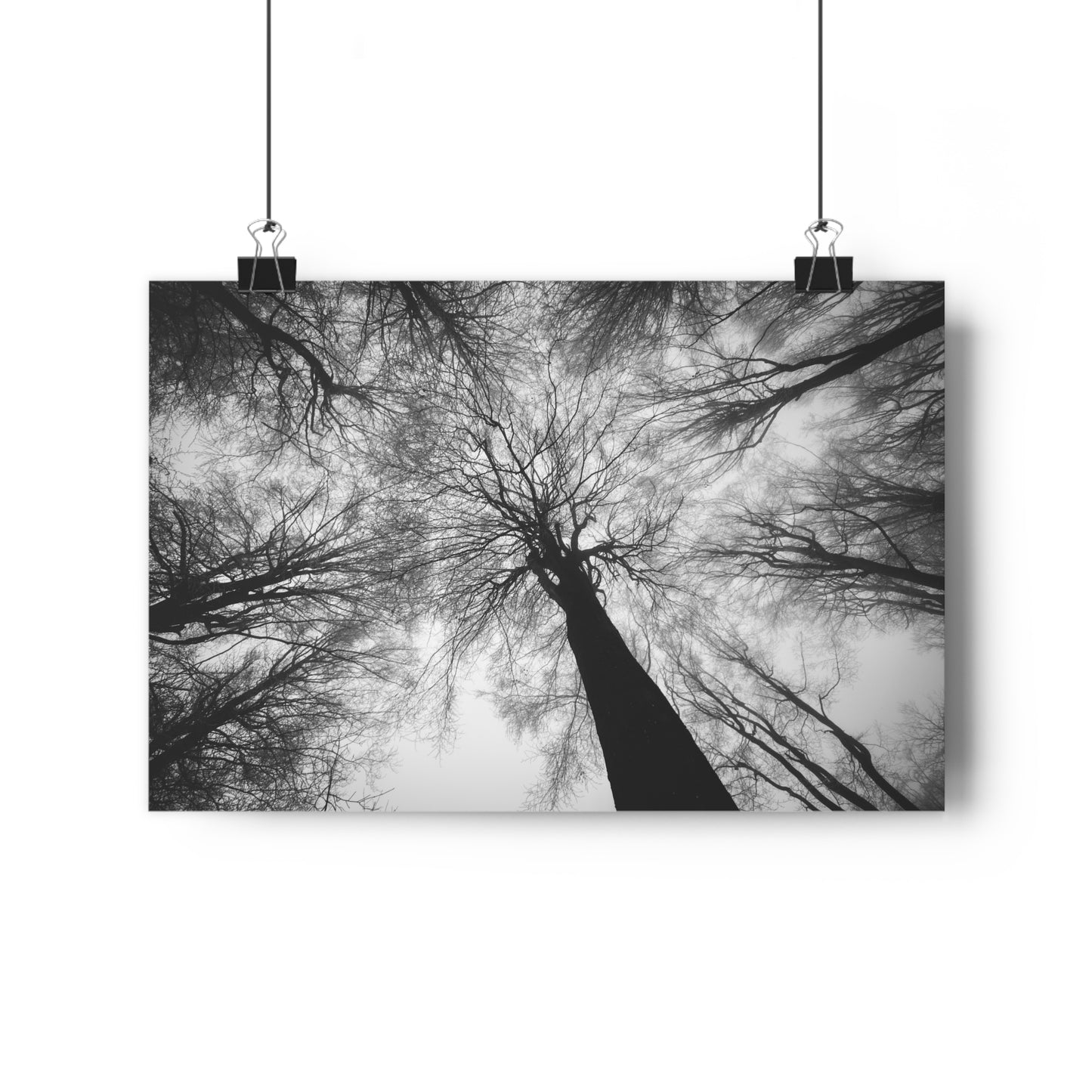 Wall Art Print of Winter Bald Tree Crowns, Black and White Photography, Home Decor, Nature Lover Gift, Christmas Wall