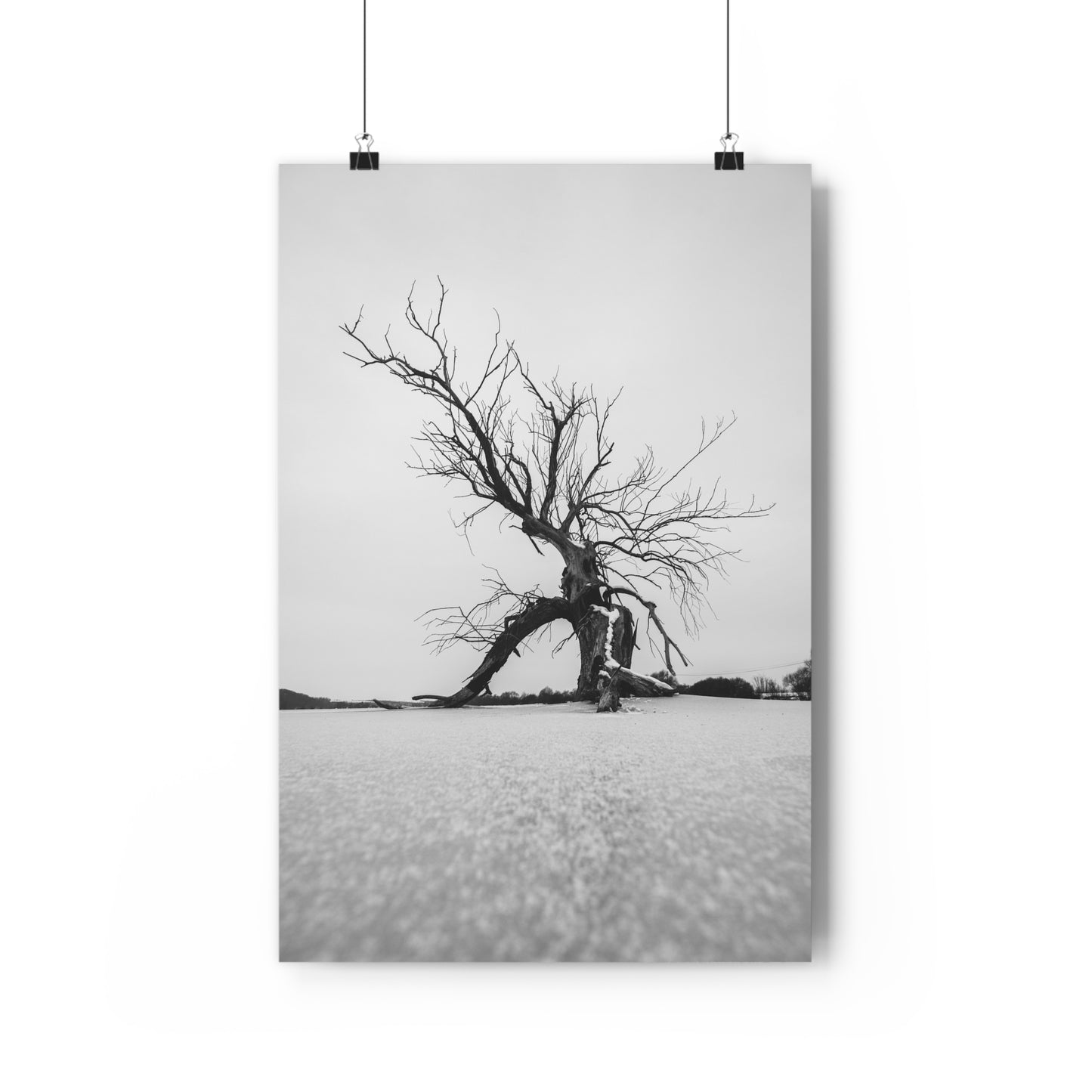 Giclée Print, Black and White Old Tree 'The Last Ent' in Frozen Field Winter Day Photo, Wall Art Decor, Nature Print, Tree Lover Gift, Home