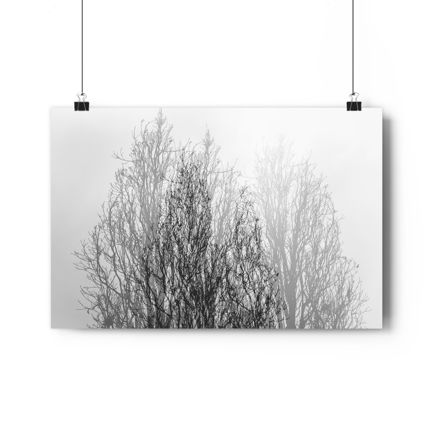Giclée Art Print, Black and White Winter Tree Photo, Mysterious Multiexposure Wall Art, Home Decor, Nature Photography, Holiday Gift Idea