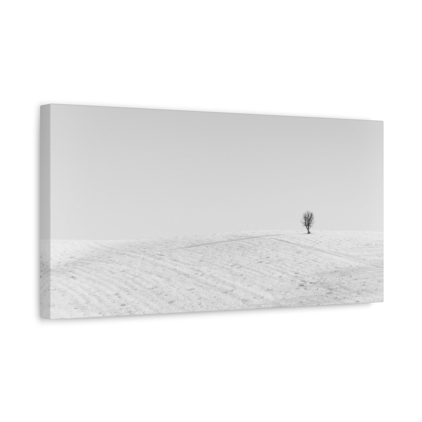 Canvas Print Lone Tree Winter Photography