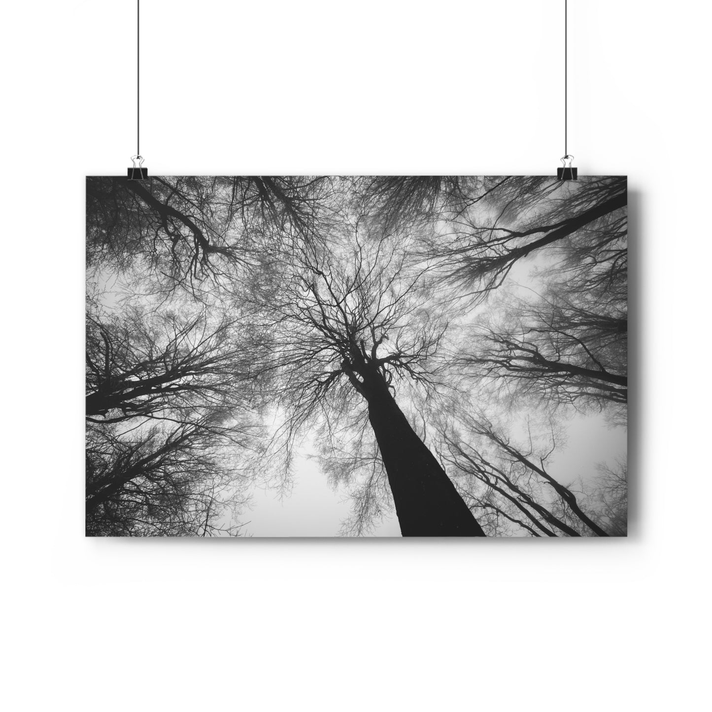 Wall Art Print of Winter Bald Tree Crowns, Black and White Photography, Home Decor, Nature Lover Gift, Christmas Wall