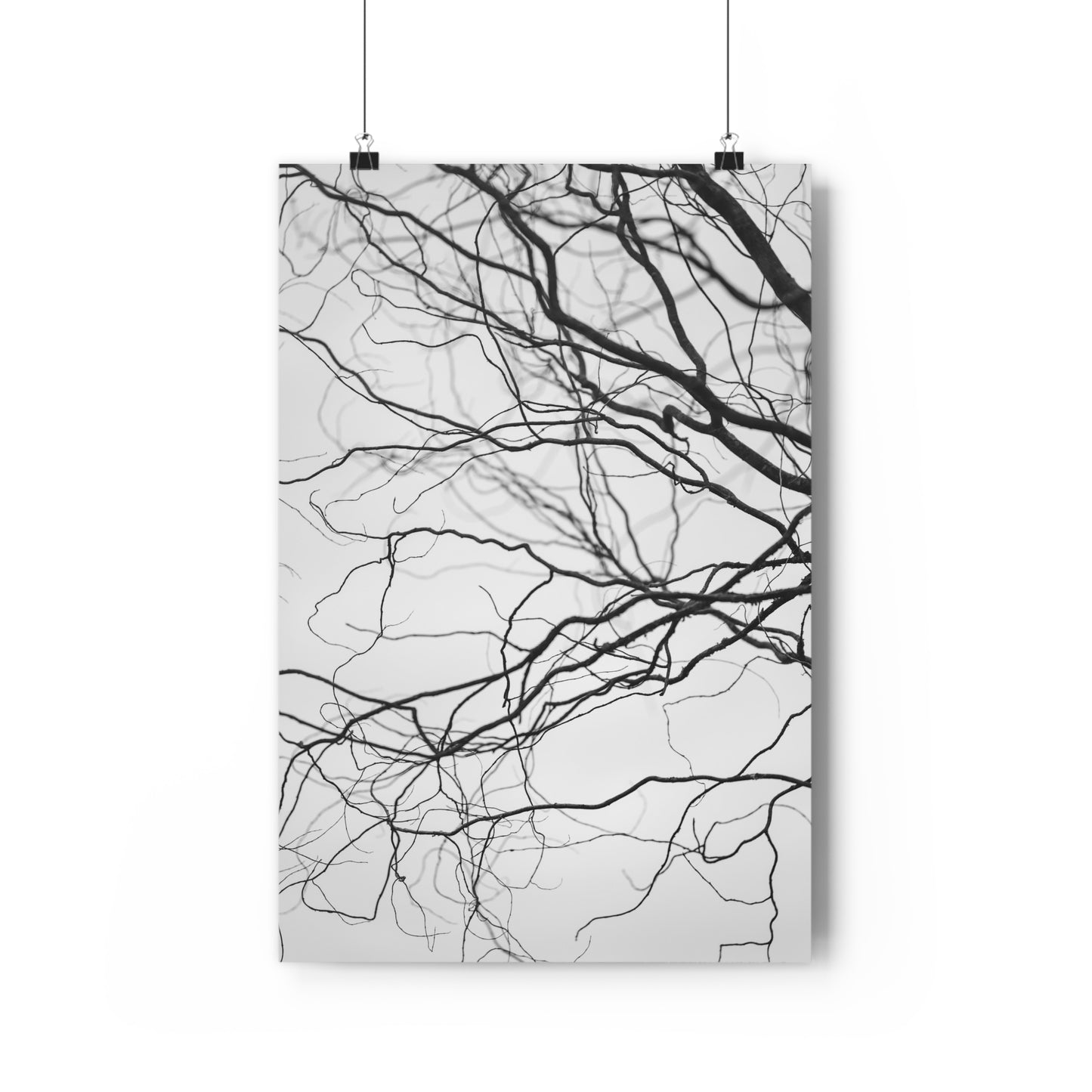 Giclée Art Print, Nature Wall Art, Tree Print, Minimalist Home Decor, Black and White Photography