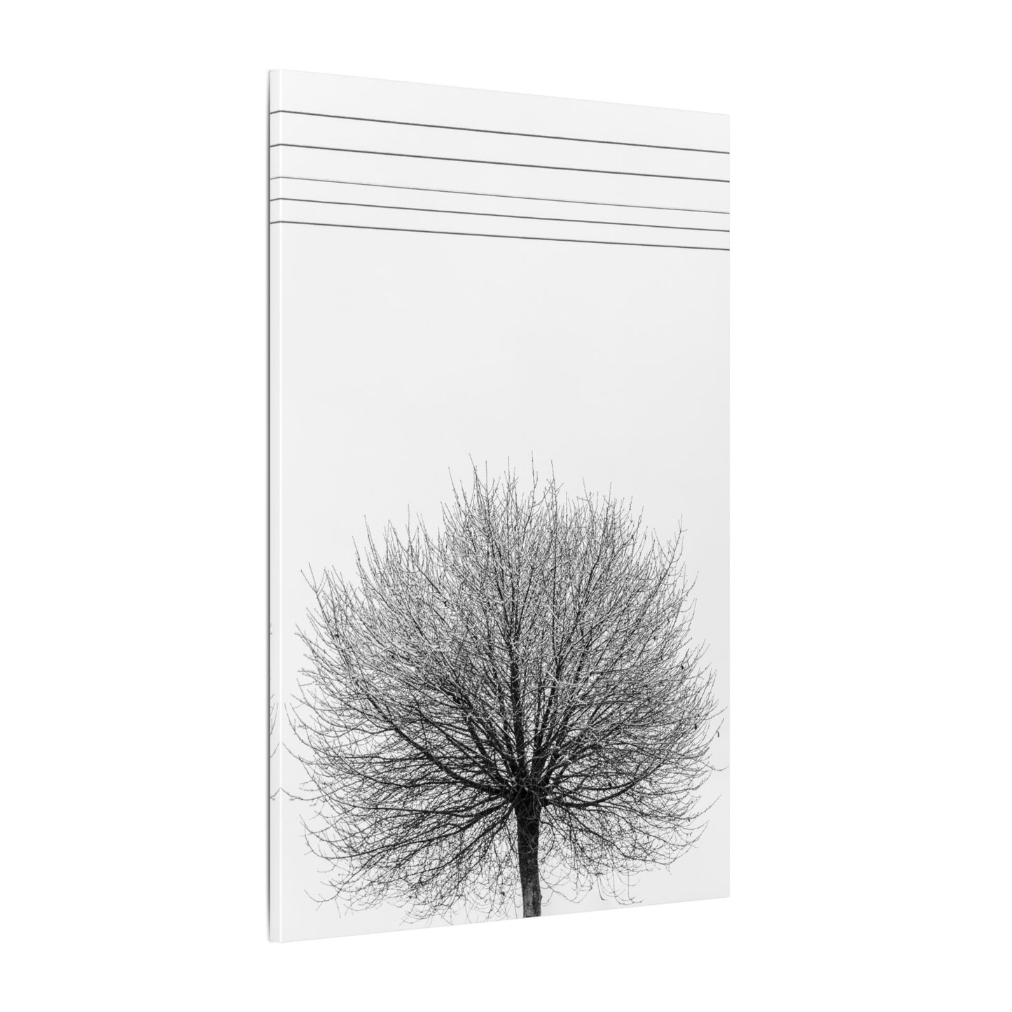 Seasons - winter - Minimalist Wall Art Print, Stretched Canvas Art, Monochrome Home Decor, Black and White Tree Artwork, Modern Living Room Design
