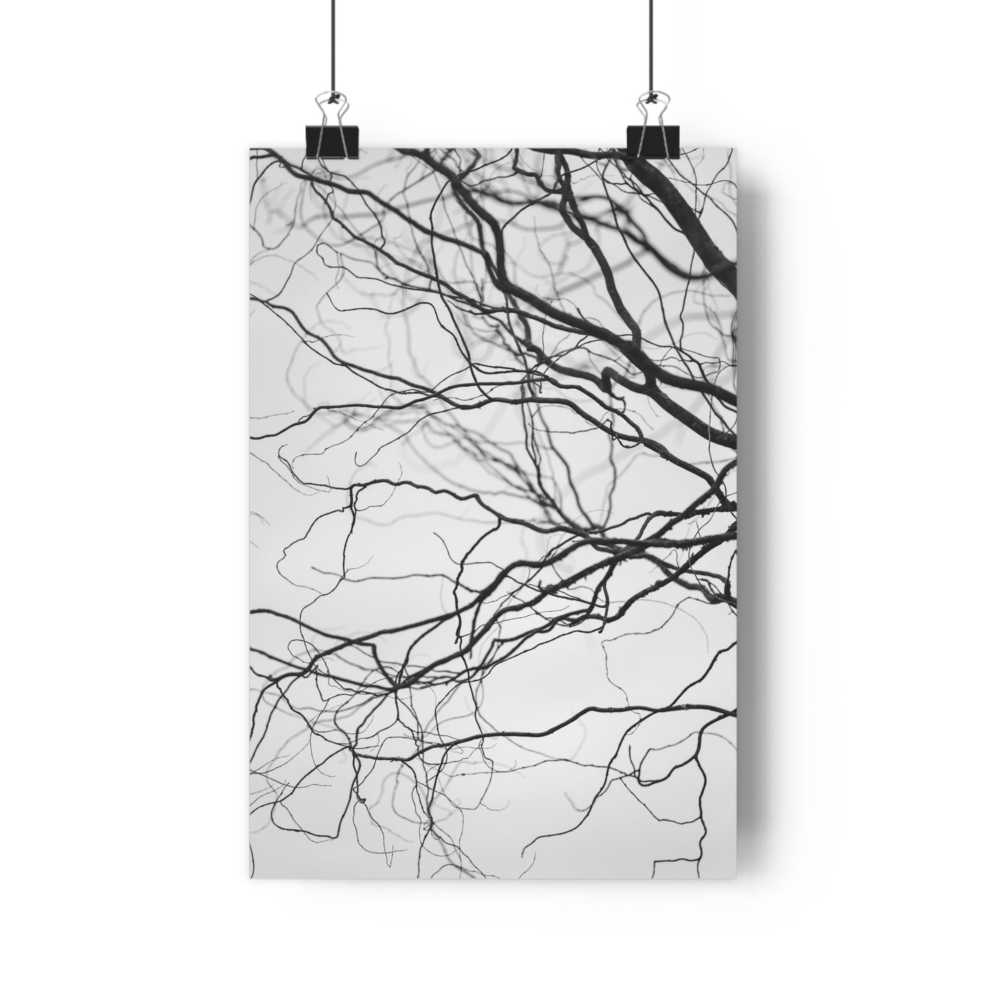 Giclée Art Print, Nature Wall Art, Tree Print, Minimalist Home Decor, Black and White Photography