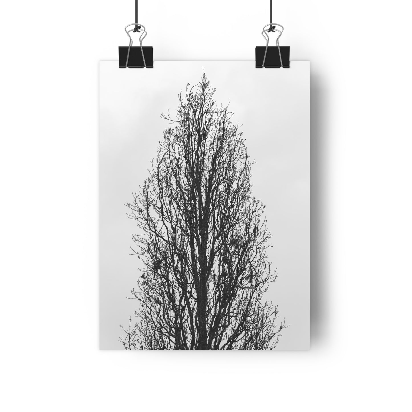 Giclée Art Print, Nature Wall Art, Tree Print, Minimalist Home Decor, Black and White Photography